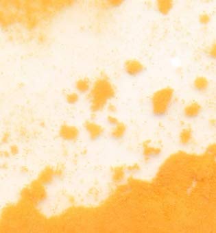 Coenzym Q10 Pulver, 50g von Dragonspice Naturwaren, 50g