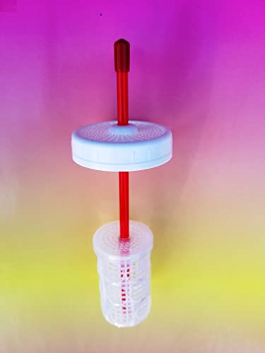 Microbiota Inc Kefir Fermenter: Set for Mason Jar you already have (regular mouth lid, 120cc container for grains)