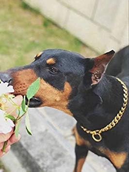 Miniatura 6 de Loveshine Collar de cadena para perro de oro de 18 quilates, cadena de eslabones cubanos de metal de acero inoxidable resistente para perros