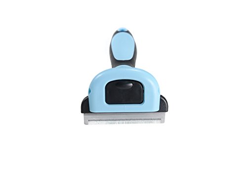 Tamia-Home Q-006 - Cepillo de Pelo para Perros y Gatos (eliminación eficaz del Pelo Suelto), Color Azul