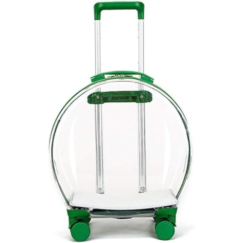 Oanawy ybgpL[obO ybgpobO @\ Lp  ʋC Lknh gїp gю LpobO X[cP[X^ (O[)