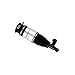 Bilstein B4 07-15 Audi Q7 Rear Right Air Suspension Spring with Twintube Shock Absorber (45-240980)
