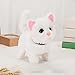 Imagen de Chosertory Juguete Interactivo Animal Electrónico Gato de Peluche Función Móvil Activado por Baterías Tacto Suave Realista para Niños Y Aprendizaje