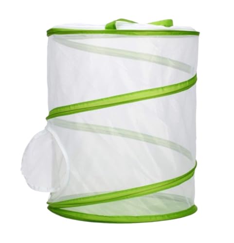  ঒ P[W |bvAbvƒ̐nP[WeE P[X ώ@