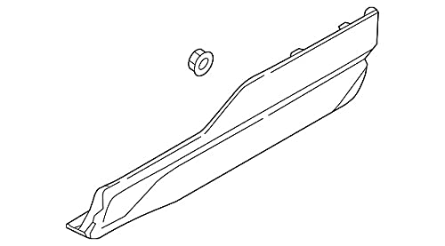 Ford Moulding - Door