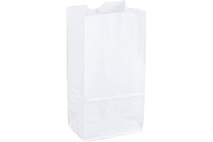Sturdy White Kraft Paper Lunch Bags (100ct)