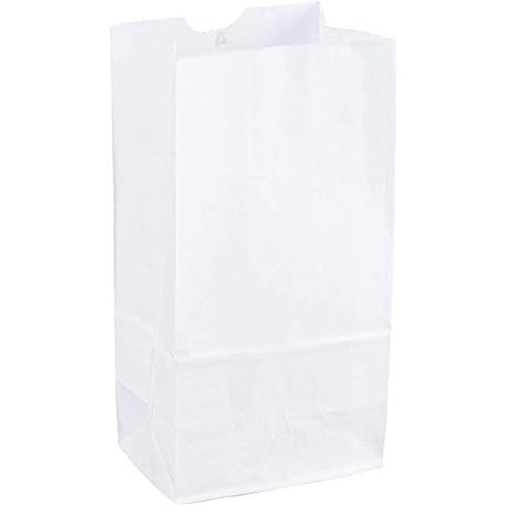 Sturdy White Kraft Paper Lunch Bags (100ct)