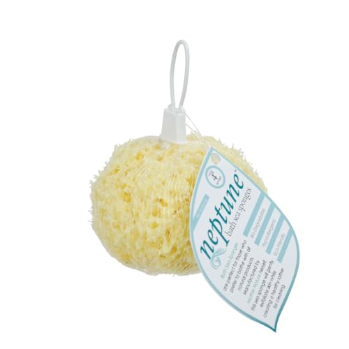 Neptune Natural Sea Wool Sponge - All Natural Honeycomb Renewable Sea Sponge, Medium - 4 inches