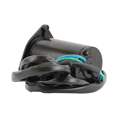 Moteur de trim d'inclinaison indispensable pour naviguer en mer avec E100STL - 3