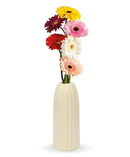 Image of SPHINX Ribbed Pipe Ceramic Vase for Flowers, Pampas Grass, or Live Plants | Decorative Home & Office Centerpiece Gift - No Flowers- (White, 9 Inch)