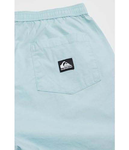 Quiksilver Boy's Taxer (Big Kids)2