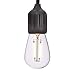 Sterno Home 48-Ft Vintage-Style Waterproof Outdoor LED String Lights – Hanging Edison Bulbs on Black Rubberized Cord – For Backyard, Weddings, Patio, Porch, and more.