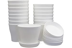 Indulge in 4 Lush Planters for Indoor Horticultural Delights