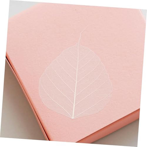 20 hojas secas prensadas para manualidades DIY miniatura 6