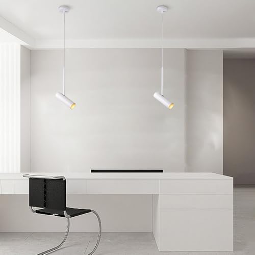 Pendant Spotlight Modern Drop Ceiling Accent Spot Lighting Indoor Adjustable Hanging Light Modern Directional Spotlights for Living Room Kitchen Island Bedroom Restaurant