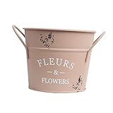 Décoration rétro : ce seau à fleurs vintage et élégant est très approprié pour offrir à des amis et partager du plaisir avec eux.