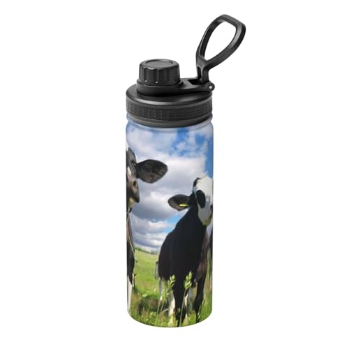 �΂̖쌴 ���� ���R�̕��i ���� 500ml ���@�r �}�O�{�g�� �X�|�[�c�{�g�� ������ �R��Ȃ� �^��f�M �ۉ��ۗ� �L�����[�n���h���t�� �����^�ѕ֗� �ʋ� �ʊw ���s �v���[���g