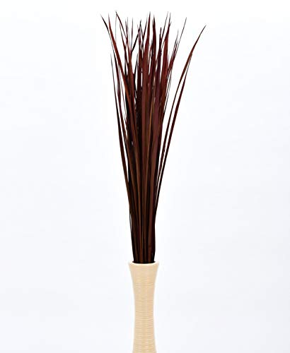 Image of Leewadee Tall Vase Filler, Natural Grass Stems - 2 Bunches of Colored Branches for Vases, Carefully Dried Twigs for Home and Bar Decoration, 45 inches, Bordeaux