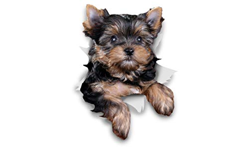 Winston & Bear Perro 3D pegatinas - Pack 2 - Cute Yorkshire Terrier para la pared, pegatinas de perro Yorkshire Terrier de nevera