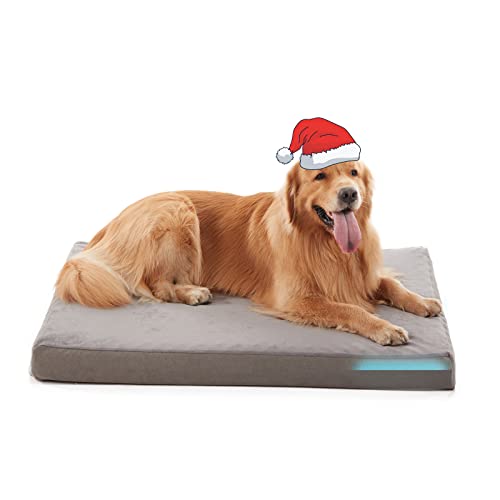 Top 10 Best Cool Beds For Dogs Reviews & Buying Guide Katynel