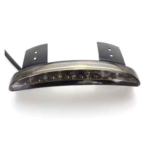Guardabarros trasero con luz LED para Sportster XL 883 1200