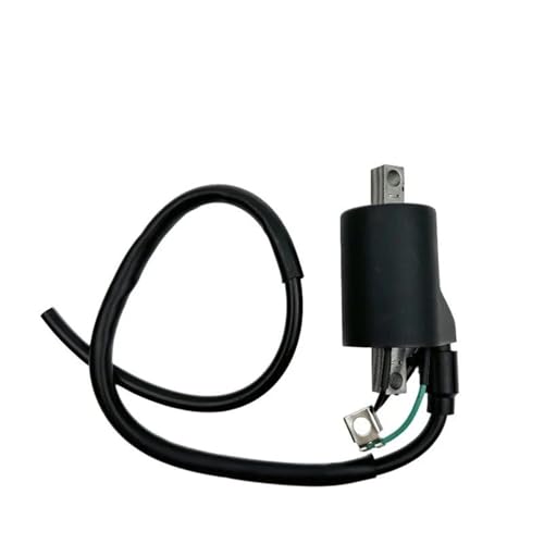 Bobina de encendido 12V reemplazo 58439006000 para motocicleta EXC y XCF