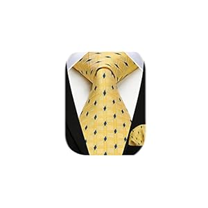 HISDERN Plaid Ties for Men Checked Necktie And Handkerchief Set for Wedding formal Business