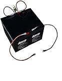 Razor E100 Electric Scooter Battery 12V 5AH - 2 Pack High Performance Rechargeable Batteries with Wiring Harness Bundle (Does not fit The E100 Power Core) Beiter DC Power