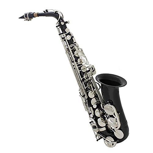 Alto Saxophone EB ^J{fBL[ zCgVFL[ TbNX(J[: 5)