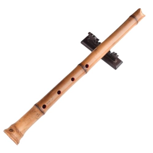 尺八 初心者」の人気商品一覧 | 安い商品を通販サイトから探す - 価格.com