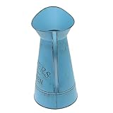 Vase cruche vintage - il ne rouille pas, il ne rouille pas, peut être utilisé pendant longtemps. ce pichet de fleurs à usage décoratif.