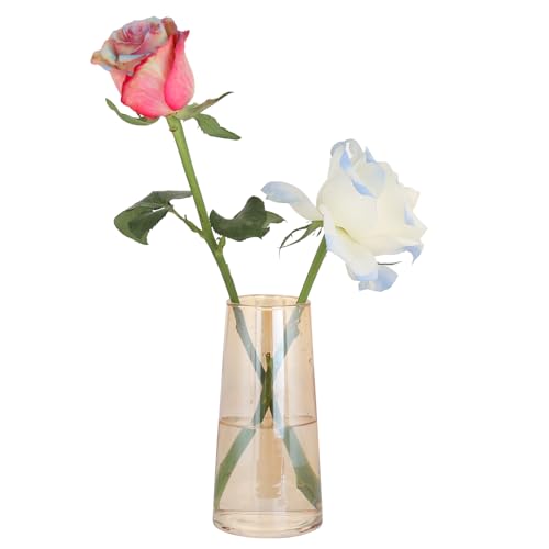 Amber Glass Vase for Flowers-6 Inch Clear Glass Flower Vases for Centerpiece，Ins Modern Boho Style Vase for Wedding Housewarming Gift(Amber, Small)