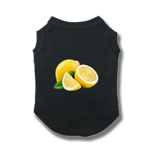 ZSDGBZ   tVc  ybg ėp t ʋC  Lk lC t@bV^ ^ ĕ Vv 4XL іh~ m L m pW} ʋC Eѕی o U