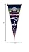 NFL New England Patriots Super Bowl XLIX Champion Pennant, 12 by 30-Inch, White