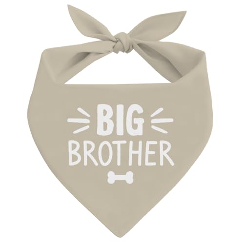 Big Brother Beige Dog Bandana