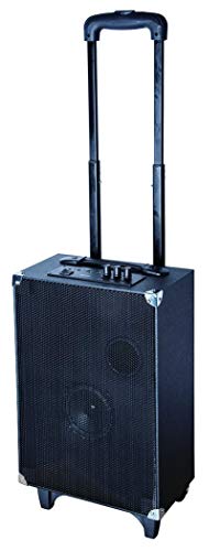 Sylvania Tailgate Bluetooth Speaker with LED Lights! (Renewed)