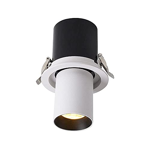 Focos direccionales de 20W regulables para crear ambientes únicos en el salón 2