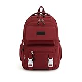 Mochila Masculina Feminina Escolar Notebook Grande Capacidade Impermeável Reforçada Nylon Viagem Trabalho Faculdade Casual (Vinho)