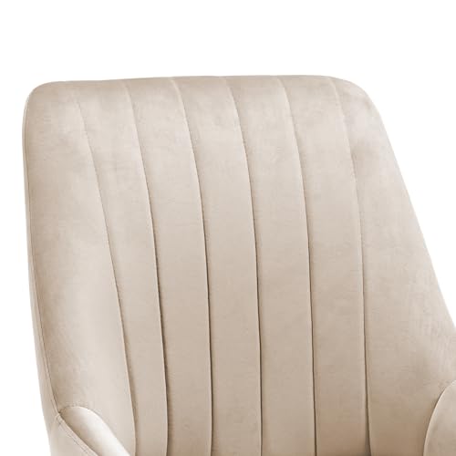 Image of Finch Fox Morris Velvet Dining Chair for Living Room, Bedroom, Home Office with Black Metal Legs in Cream Color