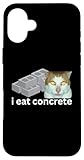 I Eat Cement Meme
