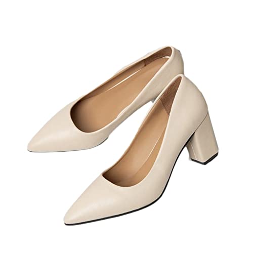 [CO] r  x[W p[eB[V[Y fB[X C pvX ɂȂ ₷ nCq[  |CebhgD q[ AE 25.0cm ʋ d \tg Sn `L[q[ 傫TCY TCY 7c