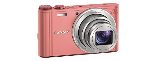 Sony DSC-WX350 Appareil photo hybride 3' (7,62 cm) 18,2 Mpix Zoom optique 20x Wi-Fi/HDMI/USB Rose
