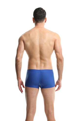 Sexy Underwear for Men Breathable Mesh See Through Boxer Briefs Elephant Nose Pouch Panties3