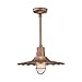 Millennium RRWS18-CP One Light Pendant, Copper
