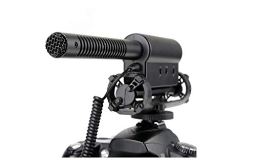 fW^NCVbgK}CN(XeI)AEBhXN[&fbhLbg}tt Sony FDR-AX100p(}`C^[tF[XA_v^[t)