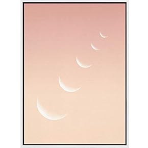 SIGNWIN Framed Canvas Wall Art Orange Sky with...