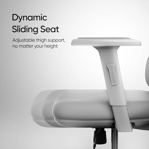 Image of AeroMesh Ergo Chair, Adjustable Armrests & Headrest, Lumbar Support, Breathable Mesh Back Fabric, Customizable Seat Depth & Height, Office Chair,120 kg Capacity- Grey