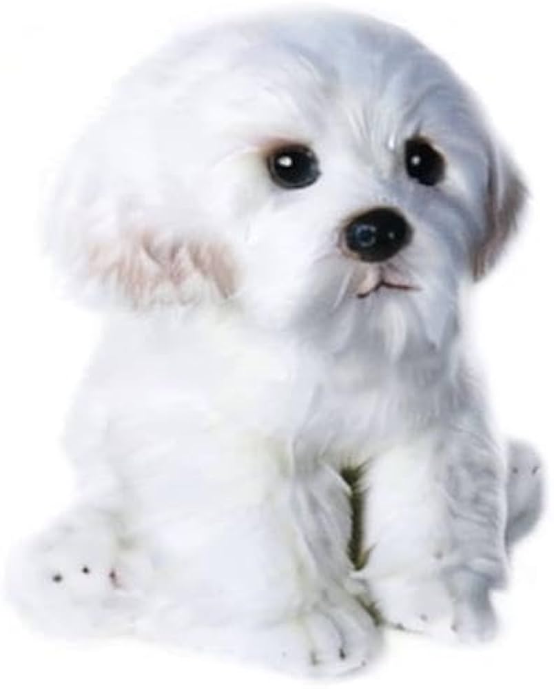 Amazon.co.jp: 14インチ 本物そっくりのぬいぐるみ マルチーズ犬