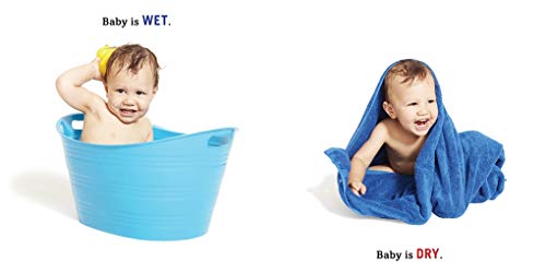 Baby Up, Baby Down: A First Book of Opposites (Baby Loves Books) - Image 4