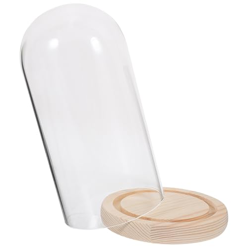 Frcolor KXh[ fBXvCP[X x[Xt vU[uht[p N[V o  }CNiϑΉ